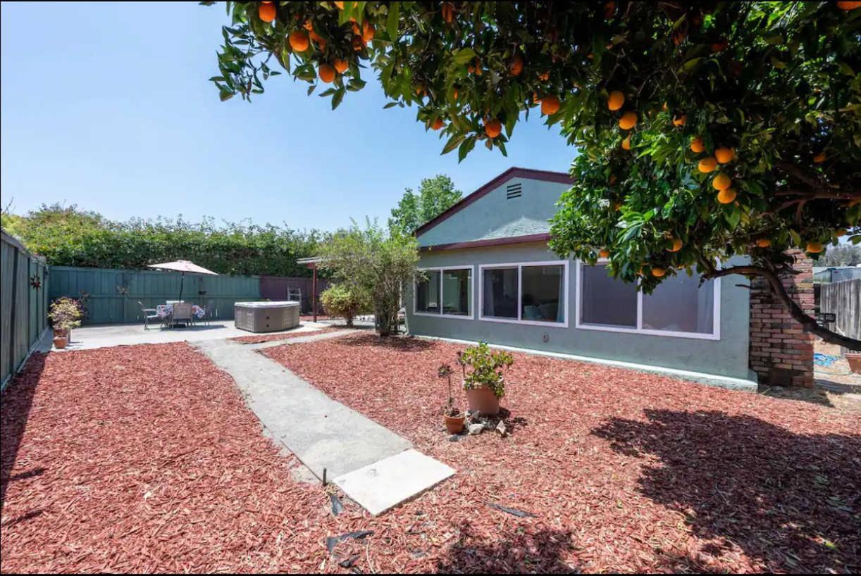 New Cozy Retreat With Large Yard And Jacuzzi